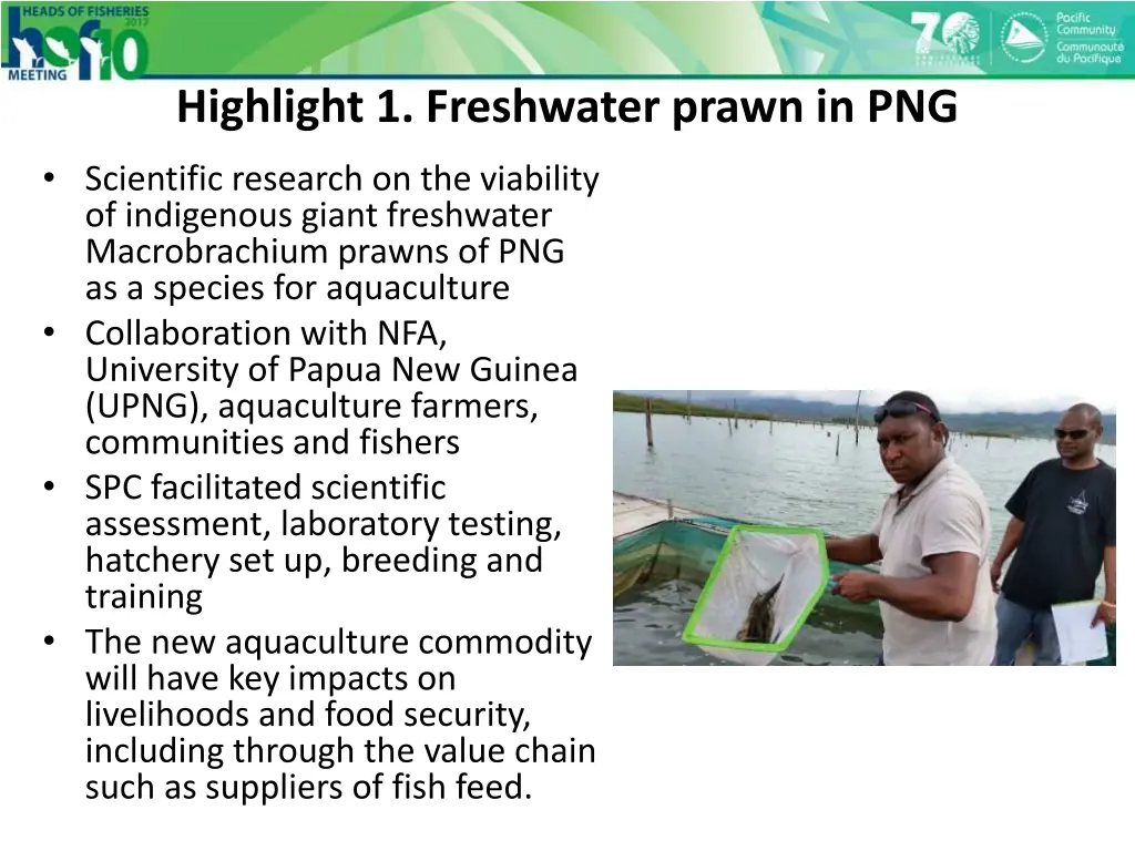 highlight 1 freshwater prawn in png