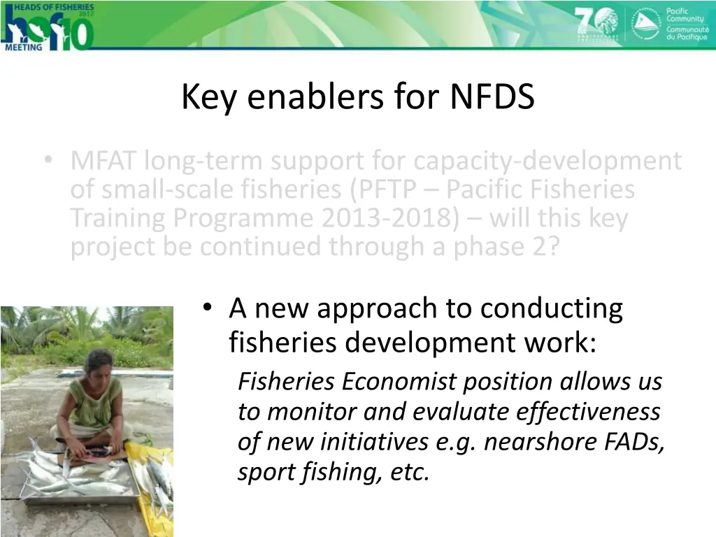 key enablers for nfds 2