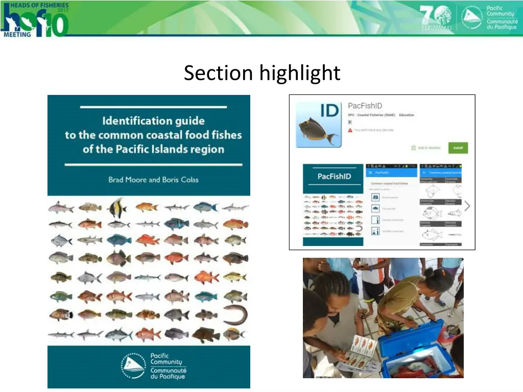 section highlight