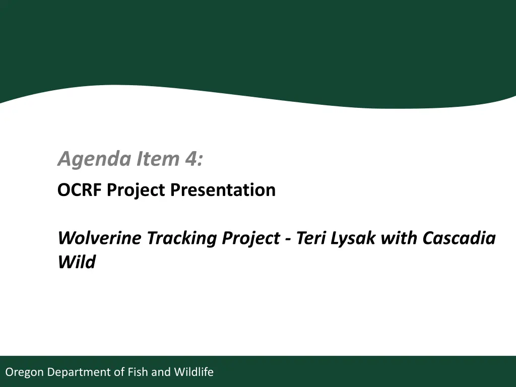 agenda item 4