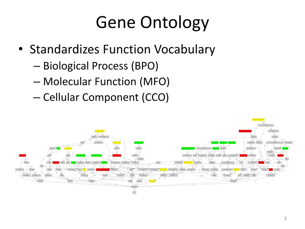 gene ontology