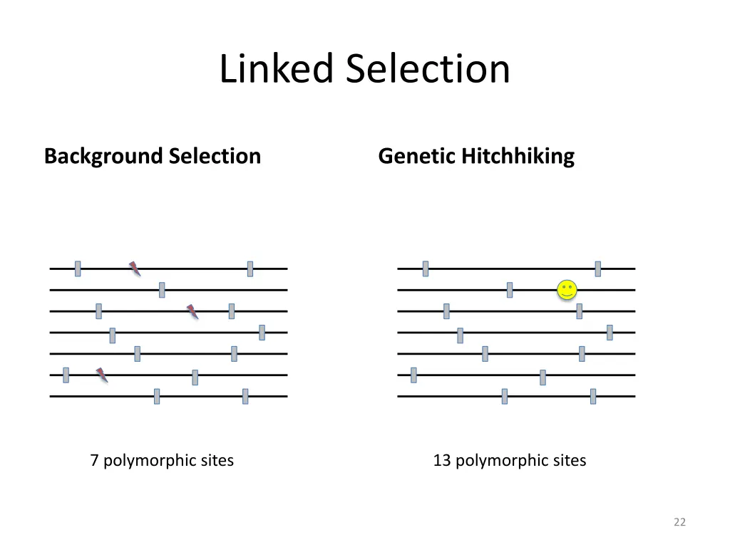 linked selection