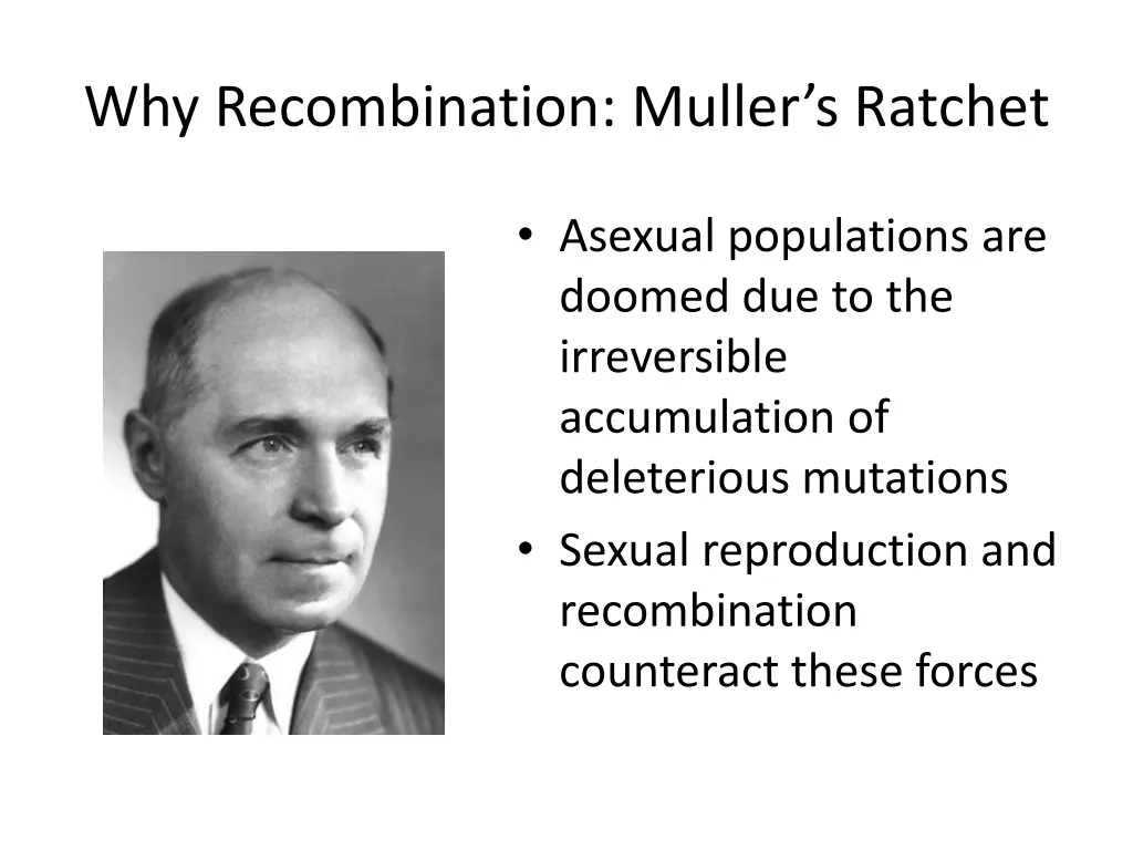 why recombination muller s ratchet