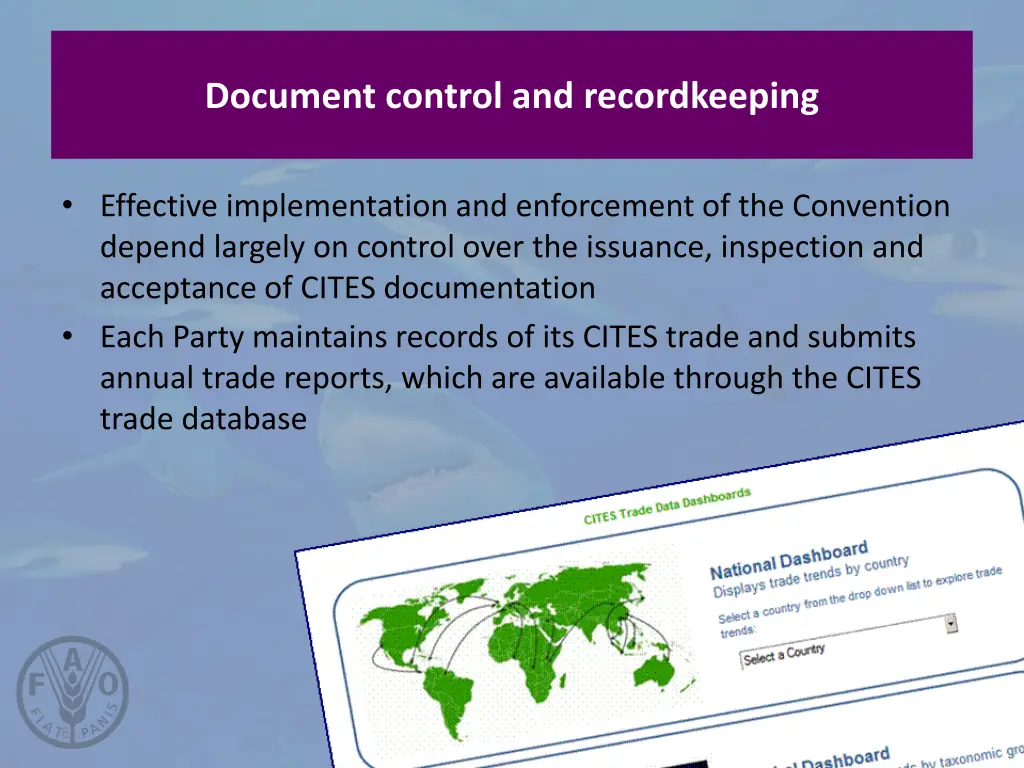 document control and recordkeeping