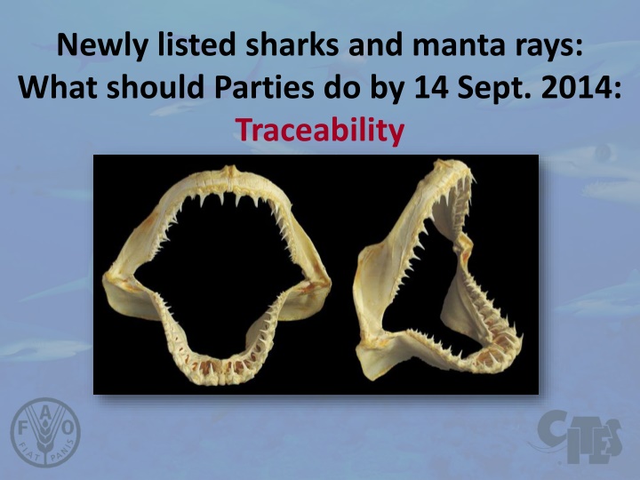 newly listed sharks and manta rays what should