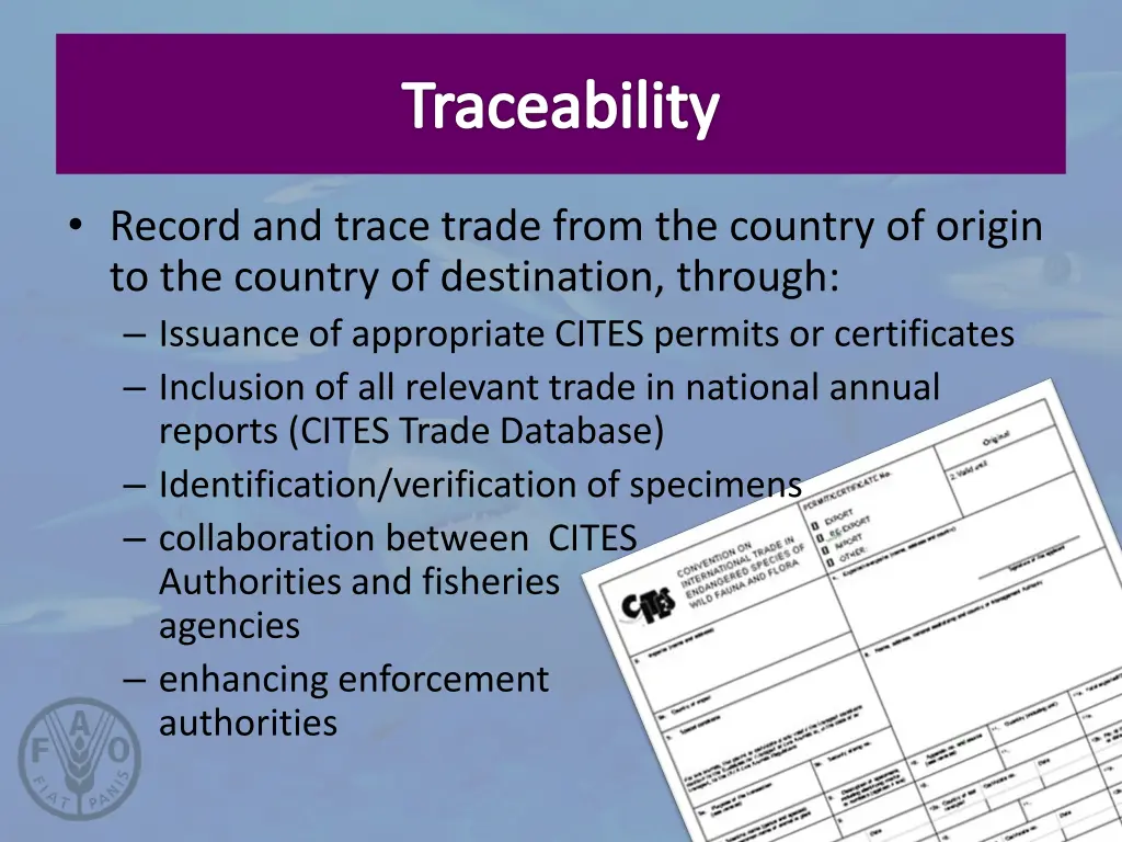 traceability