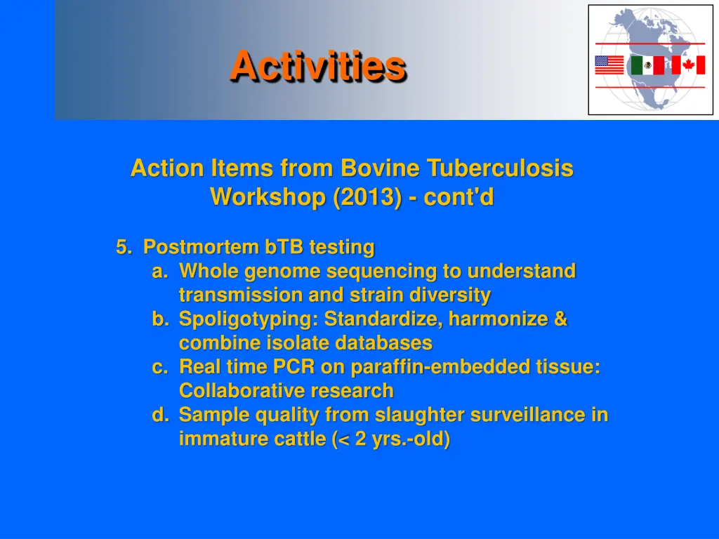activities 4
