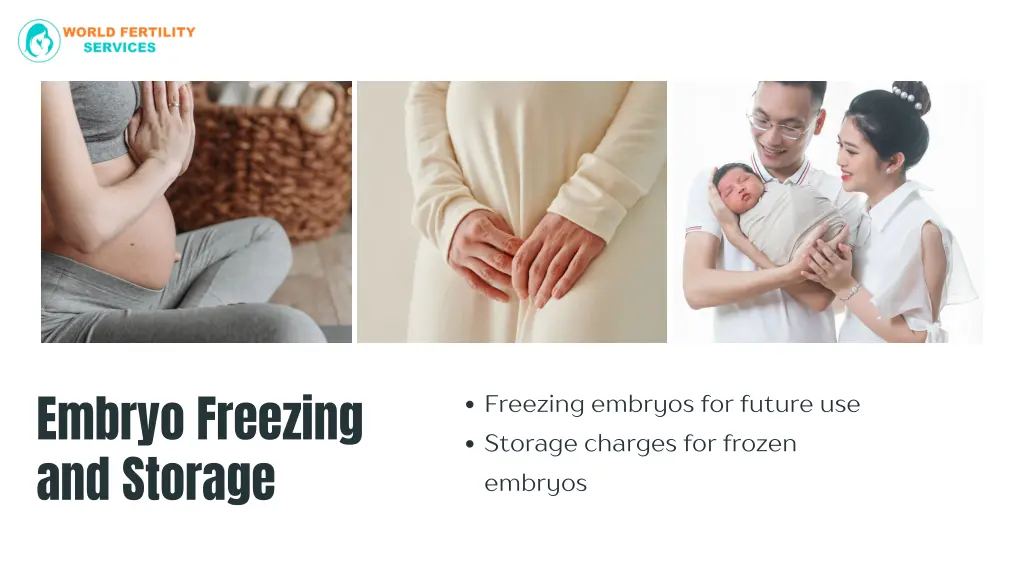 embryo freezing and storage