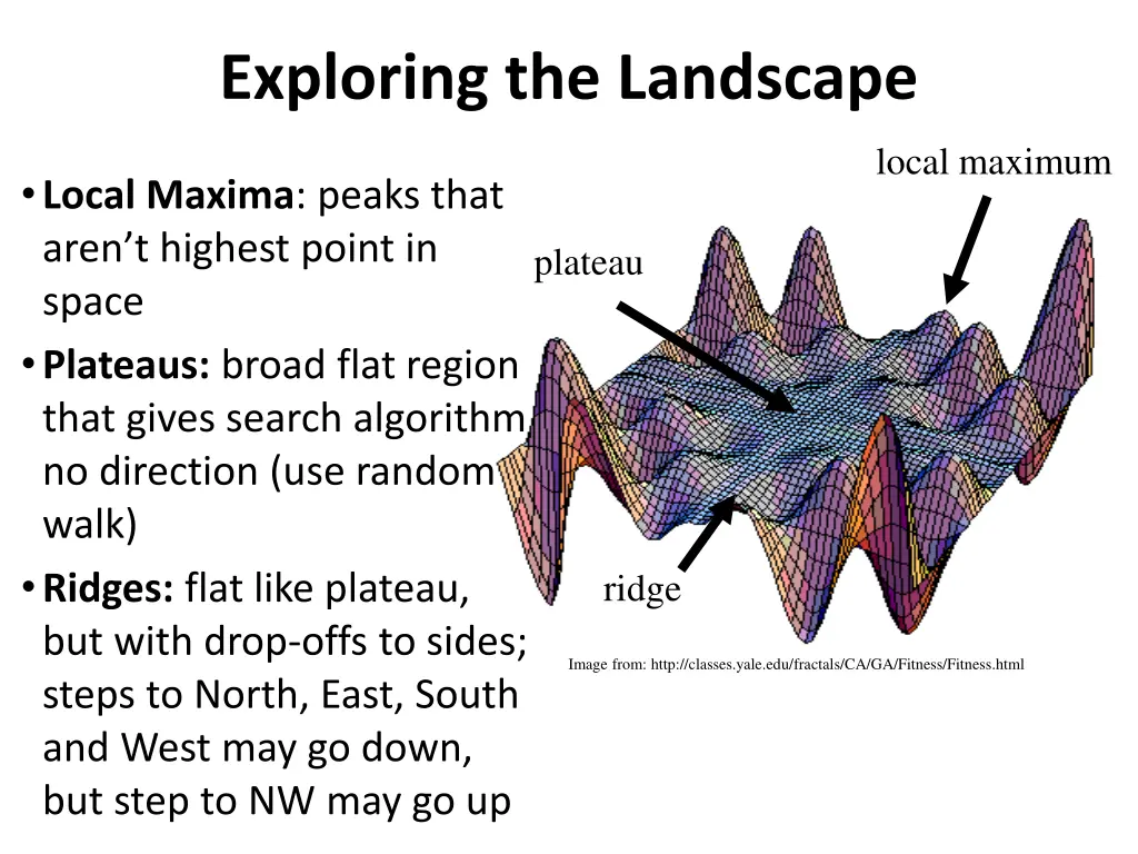 exploring the landscape