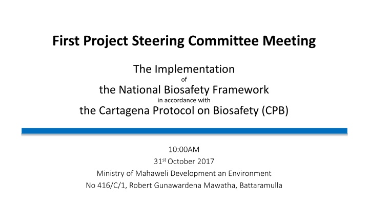 first project steering committee meeting