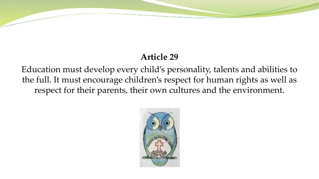 article 29