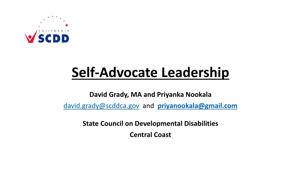 self advocate leadership 1
