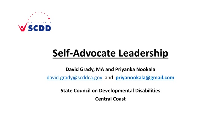 self advocate leadership