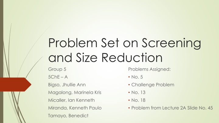 problem set on screening and size reduction group
