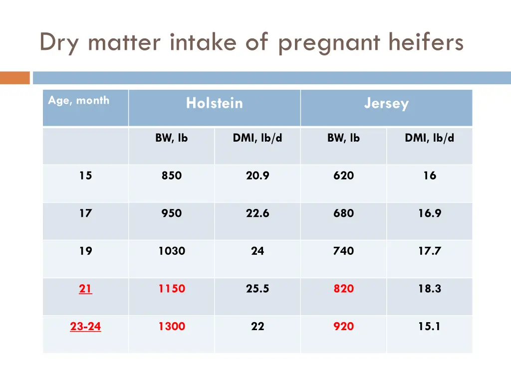 dry matter intake of pregnant heifers
