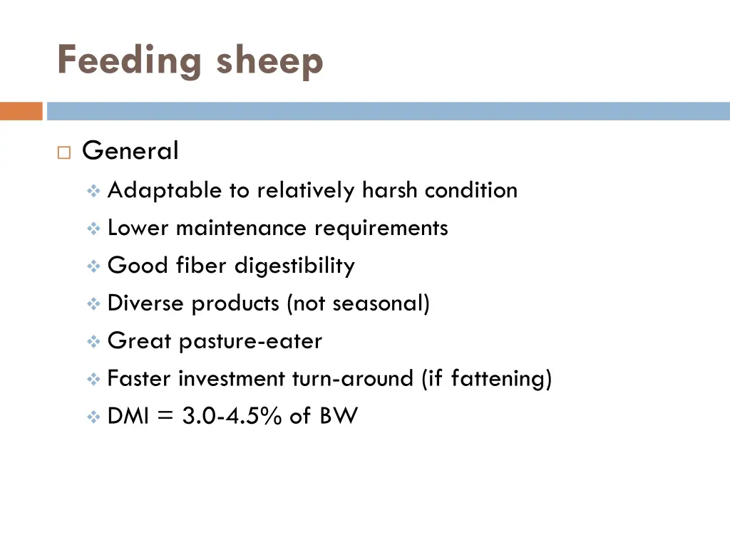 feeding sheep