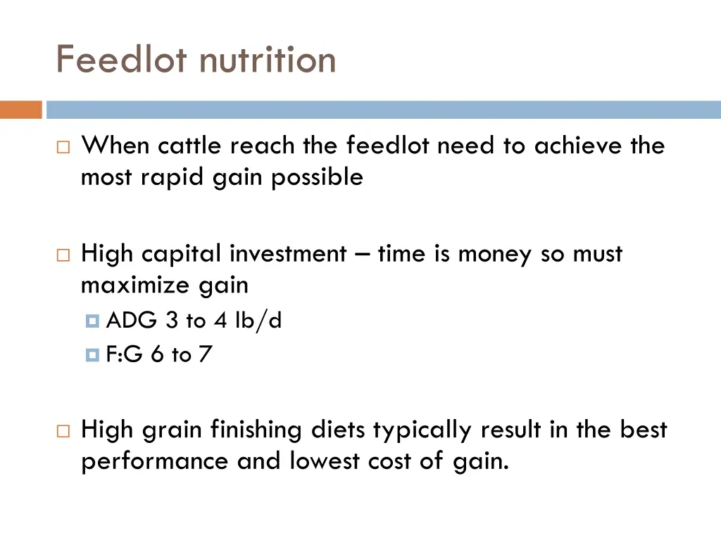 feedlot nutrition