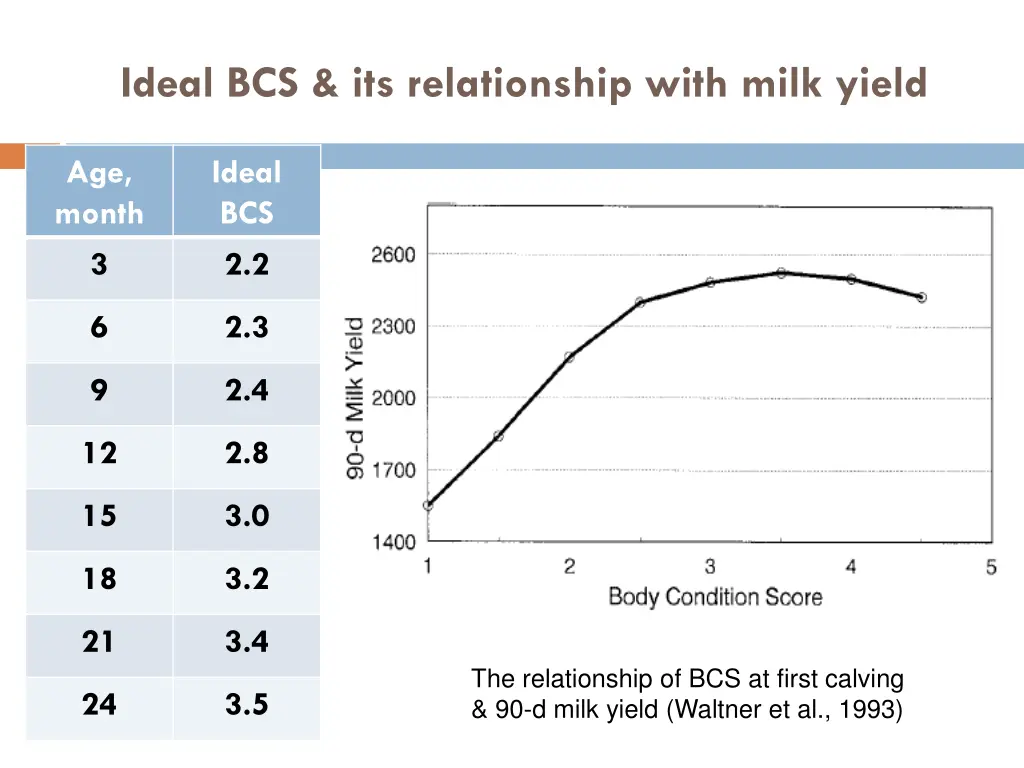 ideal bcs its relationship with milk yield
