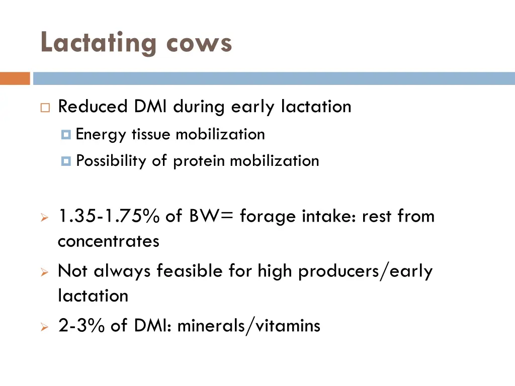 lactating cows
