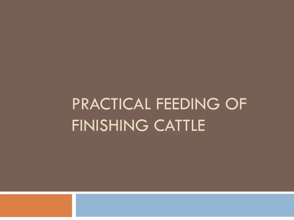 practical feeding of finishing cattle