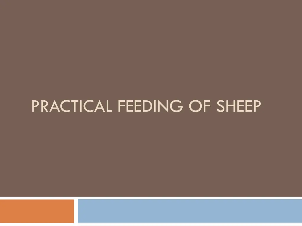 practical feeding of sheep