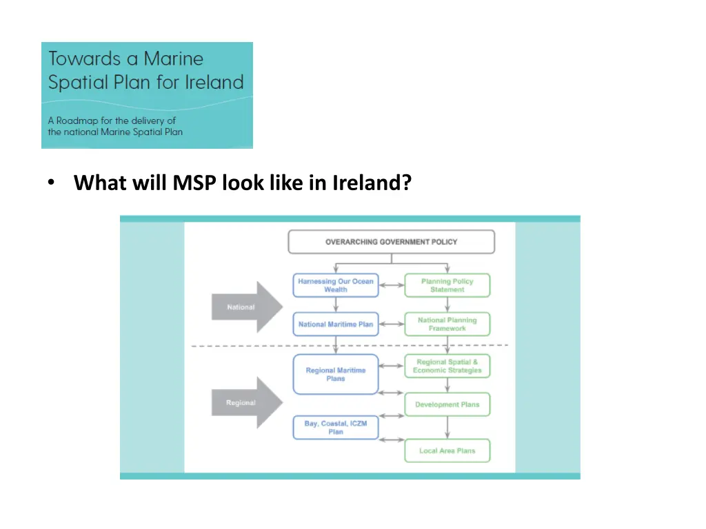 what will msp look like in ireland