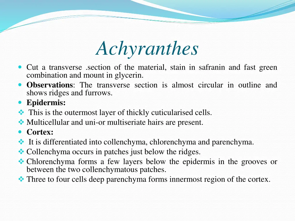 achyranthes