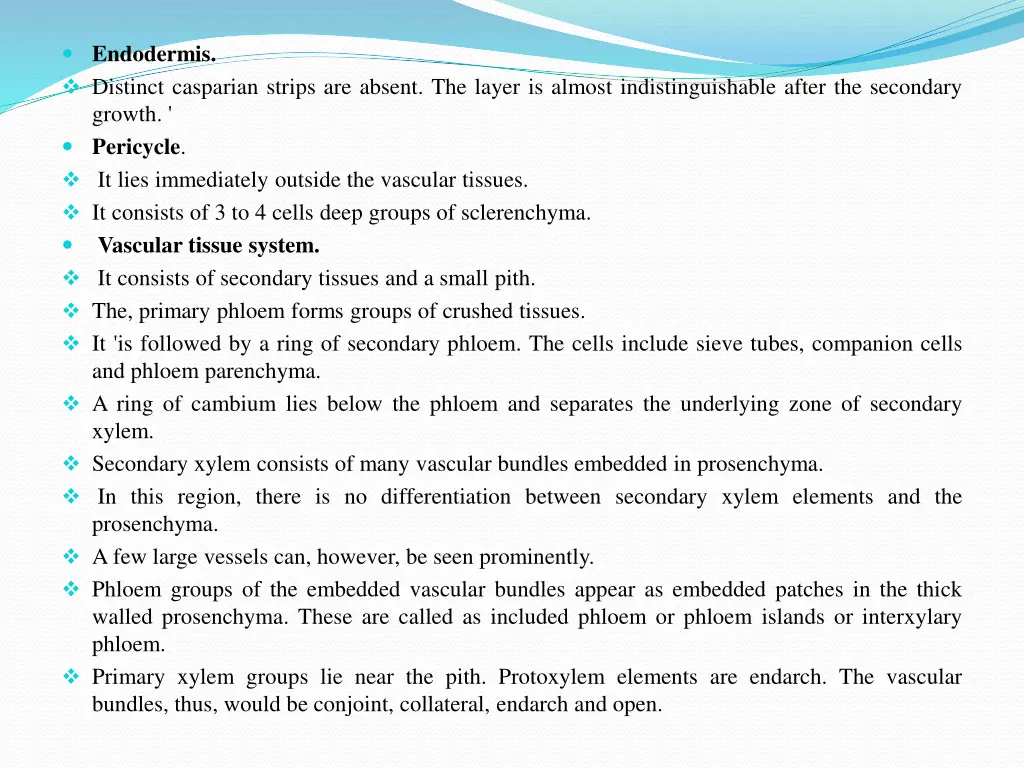 endodermis distinct casparian strips are absent
