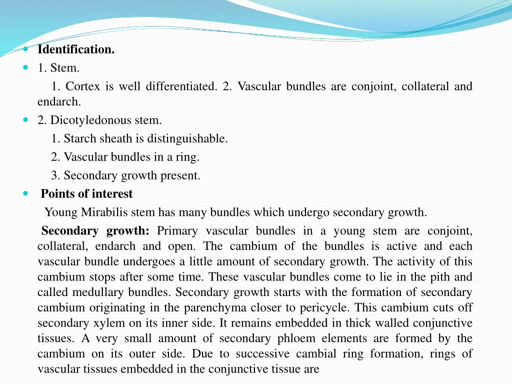 identification 1 stem 1 cortex is well