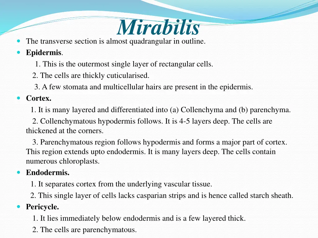 mirabilis