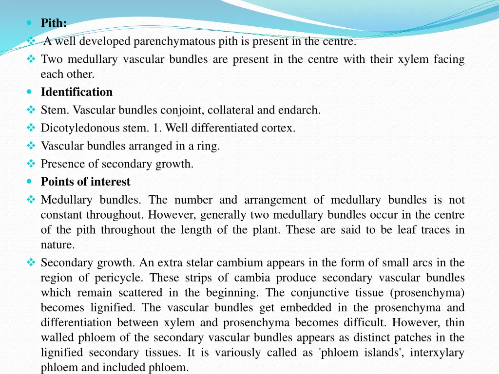 pith a well developed parenchymatous pith