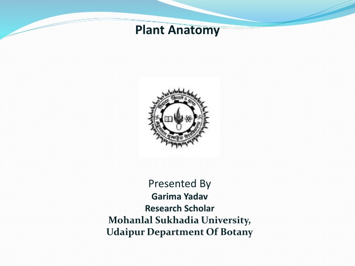 plant anatomy