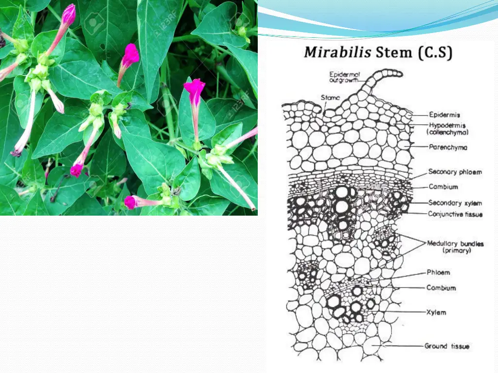 slide13