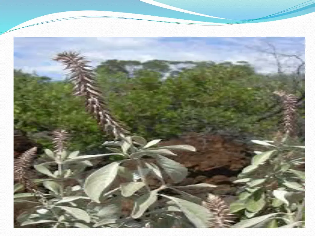 slide5
