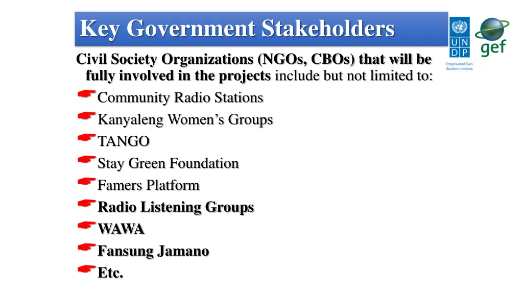 key government stakeholders 4