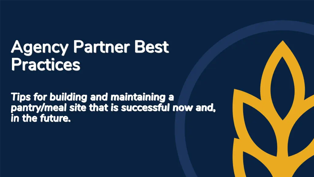 agency partner best practices