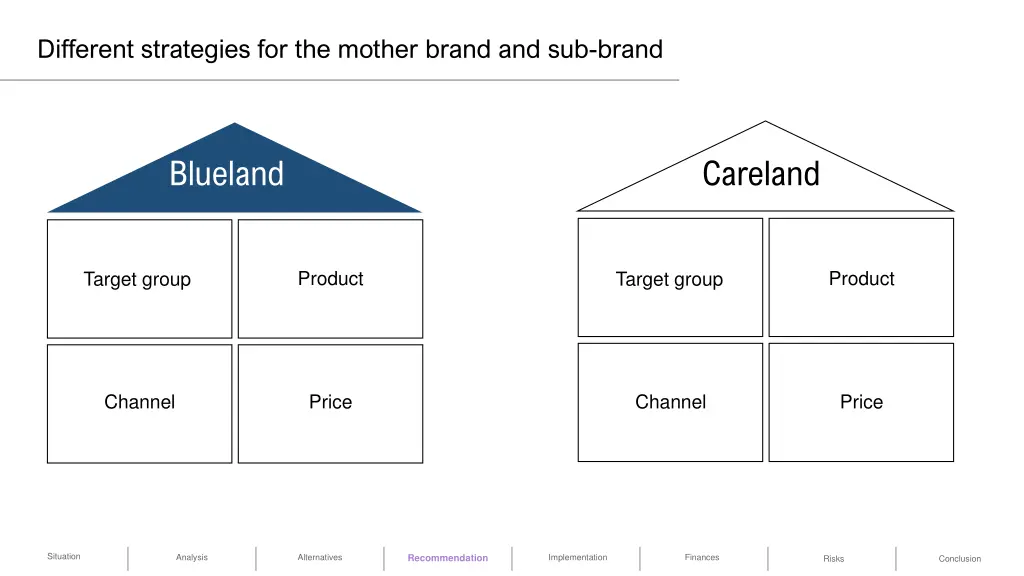 different strategies for the mother brand 1