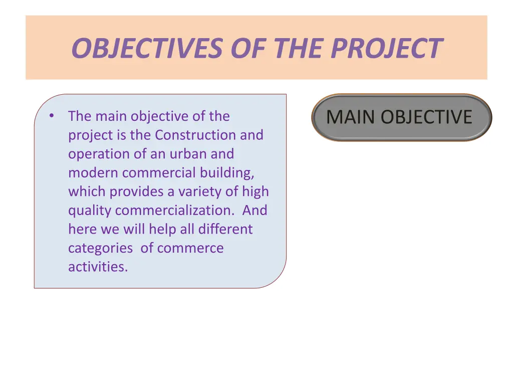 objectives of the project
