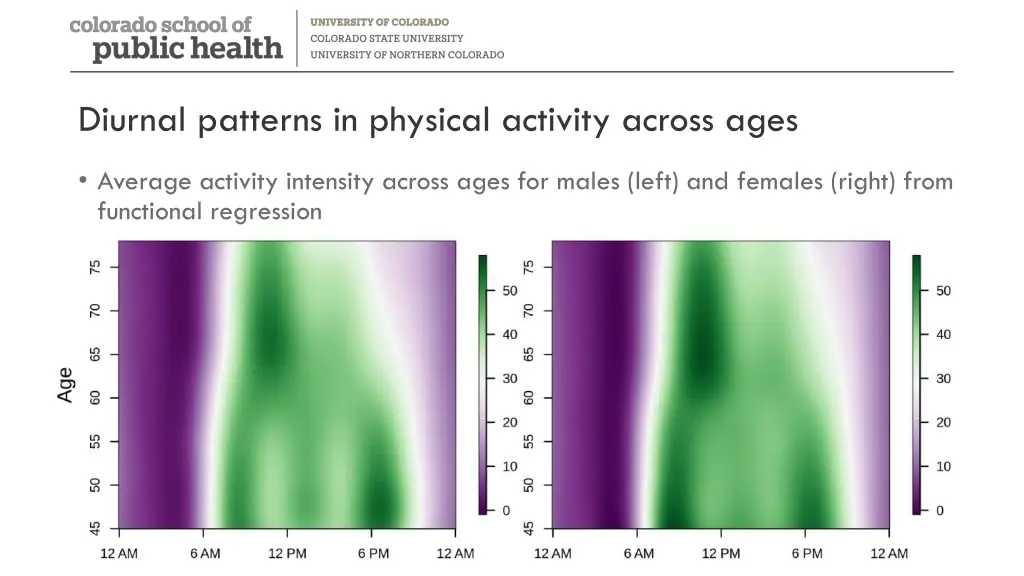 diurnal patterns in physical activity across ages