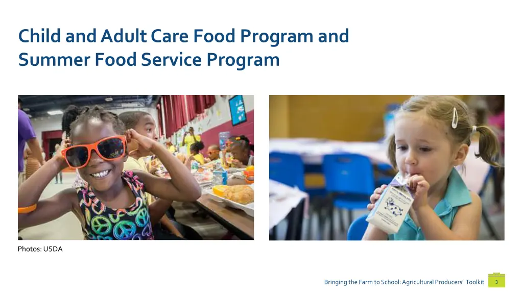 child and adult care food program and summer food