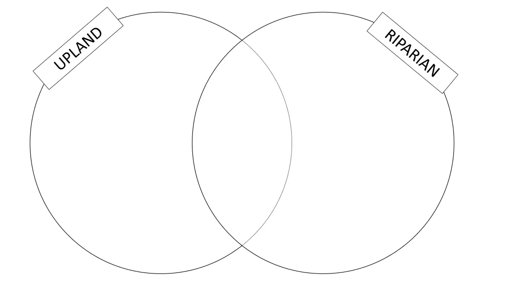 slide6