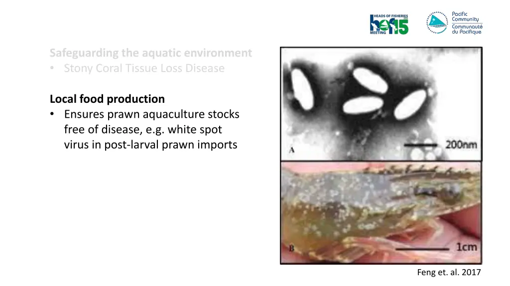 safeguarding the aquatic environment stony coral 1