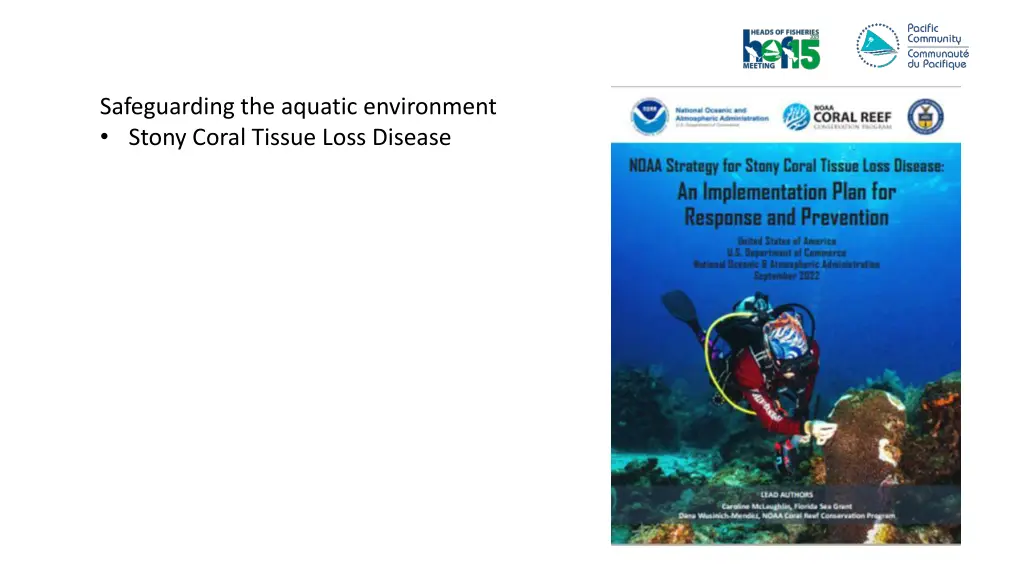 safeguarding the aquatic environment stony coral