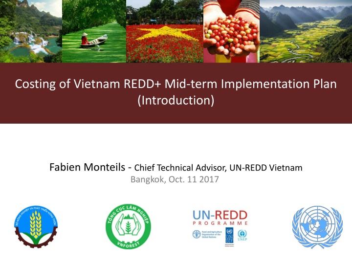 costing of vietnam redd mid term implementation