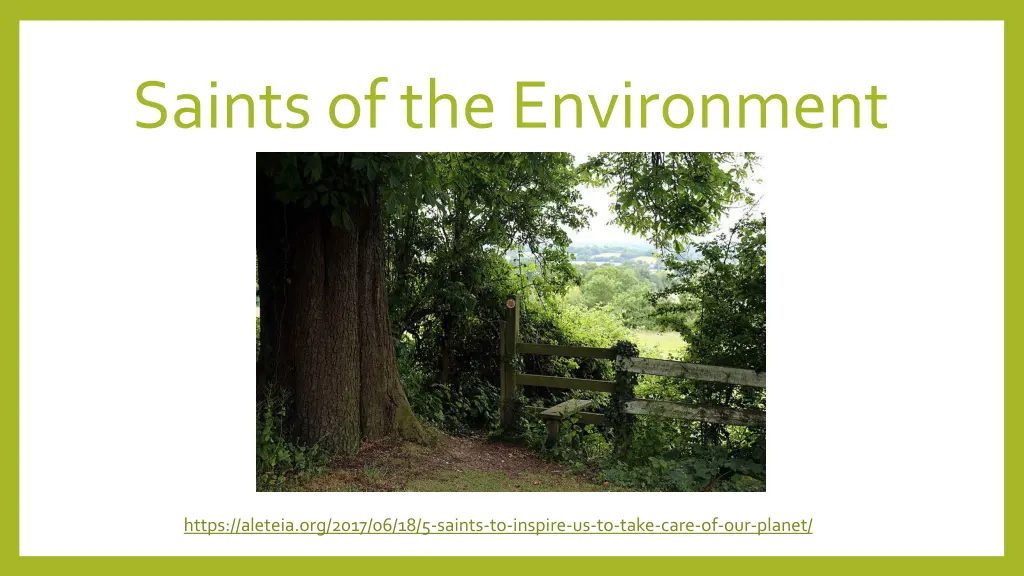 saints of the environment