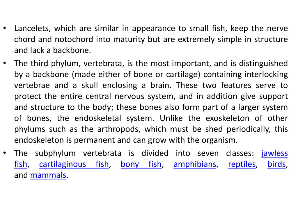 lancelets which are similar in appearance