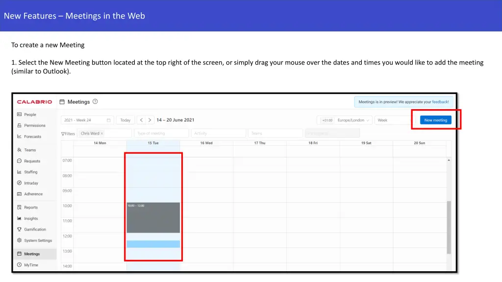 new features meetings in the web 1