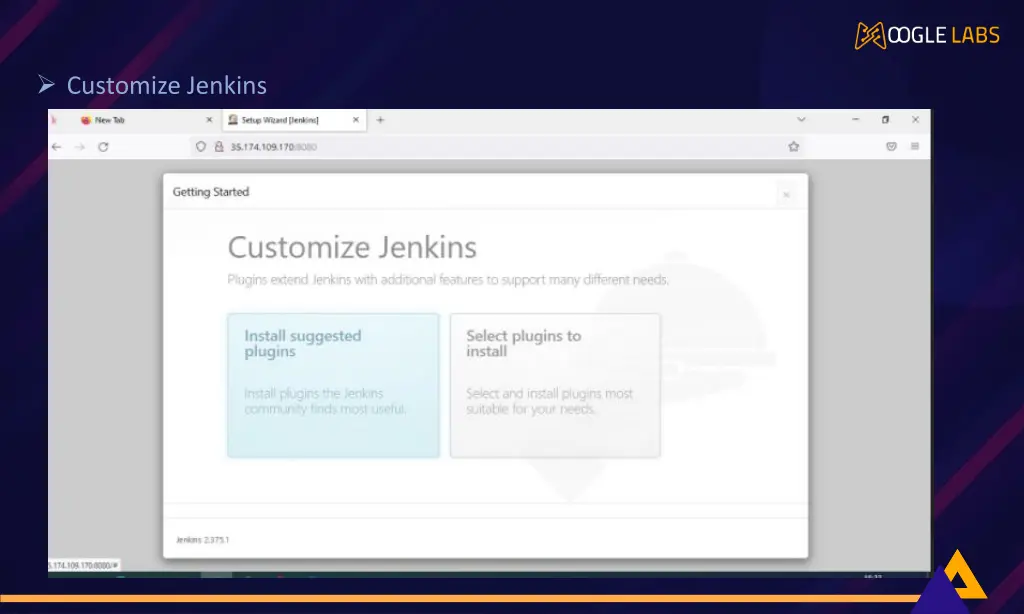 customize jenkins