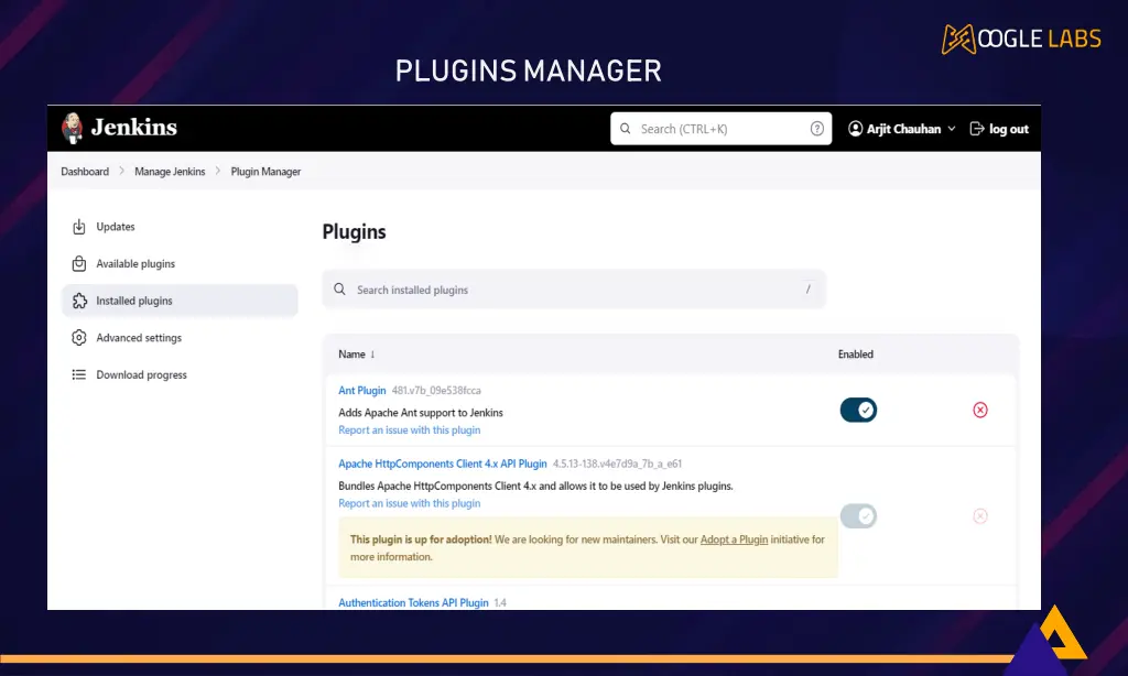 plugins manager