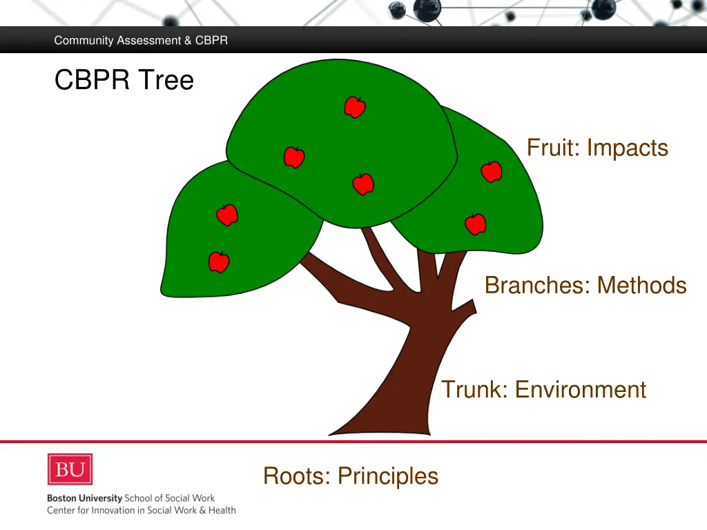 community assessment cbpr 4